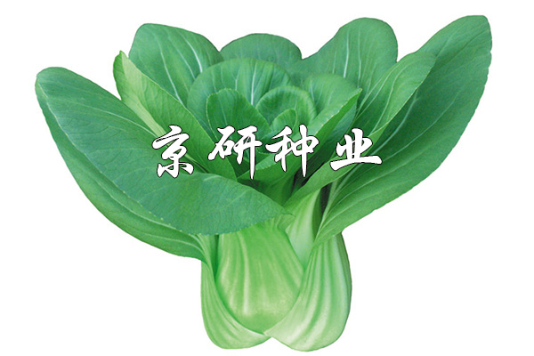 國夏3號(hào)